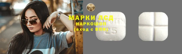 СК Арсеньев
